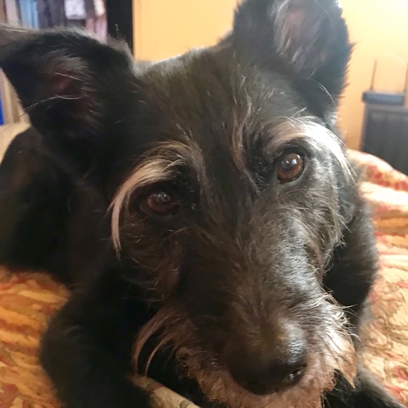 Meet your Posher, Christine - Picture 5 of 10